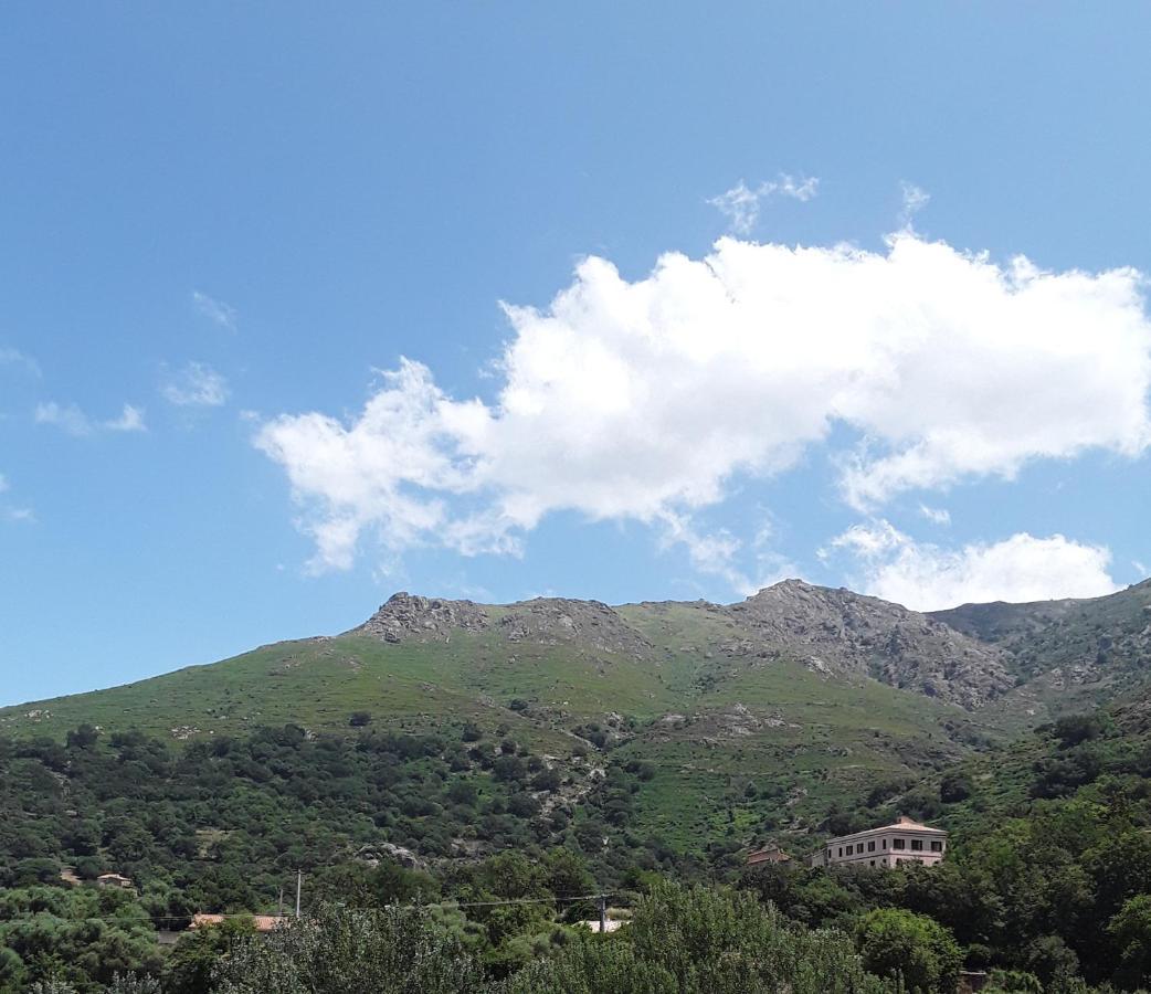 U Canale1 Sejour Calme Et Paisible Entre Mer Et Montagne. Ville-di-Paraso Dış mekan fotoğraf